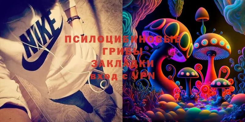 Галлюциногенные грибы Psilocybe  Киреевск 